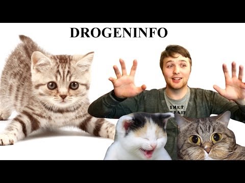 KATZENMINZE FAZIT - GUTER CANNABISERSATZ?