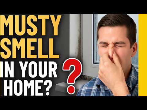 video-linktoworks-How To Get Rid Of Musty Odors or Smell - Is It Mold?