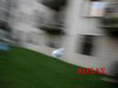thibaut thibaut