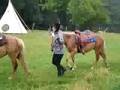 videos de Camp équestre