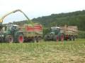 videos de ensilage mais