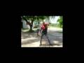 videos de Trascamaras Pelicula de URBE