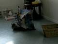 Heidi chasing Gary