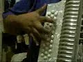 pedo y cocodrilo