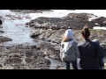 Gualala road trip - YouTube
