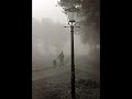 morphia   emptiness