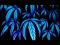 Unknown View Video
