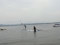 videos voile
