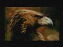 This is a video about TuAF.