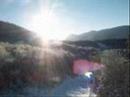 sunny sunny