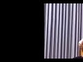 Marco Tamayo - El Colibri