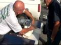 Larry Jarboe.wmv