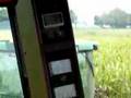 Byron 8420 Seed Corn Harvest