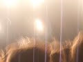Extremoduro - J.D. La Central Nuclear