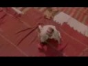 عمرأبن زانية يهزم الجن ويهرب من البشر في المعارك لذلك لقب بل الفرار D: