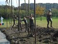 Rope Swing