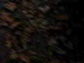 videos de MVI_0464.AVI
