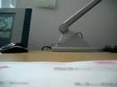 Ampas Letter