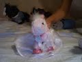 Webkinz Super Nanny Kinz Characters Webkinz Super Nanny Kinz Characters