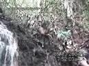 hunted like animals eyewitness account + filmed attack