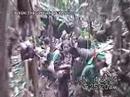 hunted like animals eyewitness account + filmed attack