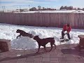 Athena runs over the snowpile