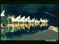 Star Wars Empire At War Forces of Corruption Star Wars Empire At War Forces of Corruption