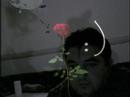 veyis G�ndogdu - Anam T�rk�s�