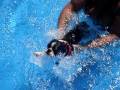 Mi Boston Nadando