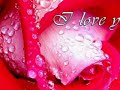 Senin ?�in--?iir