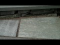 landscape,design,landscaping