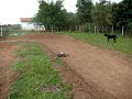 Traxxas Stampede on the track - Pres. Prudente