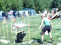 LV Meisterschaft Agility 2008 LV Meisterschaft Agility 2008
