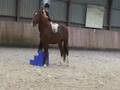 Weight of the rider-training