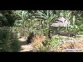 Travel Tales - Images of Cuba - BARACOA