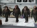 Irish Monkeys riverdance