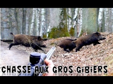 chasse - Battues au sanglier, cerf, daguet, chevreuils. Mettre en HD et plein écran ! Solognac : http://www.solognac.com/fr-FR.