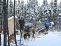 www.SPKDogLog.com -- Here's an interesting and entertaining perspective on the 