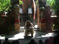 Barong & Kris dance