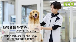 北海道エコ　Youtube Pickup!