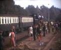 Stoomtrein in Winterswijk