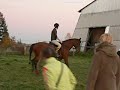 Vsisko-sk�k�n� p?es p?�rodn� p?ek�?ky-1.11.2007
