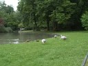 Armaan; Munich, The English Garden