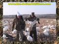 Goose Hunting with Run-N-Gun Outfitters