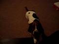 Lucy (1)