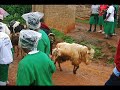 Nyeri Hospice Nyeri Hospice