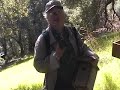 Nestbox Monitor Training: Paper Wasps and Blowflies Nestbox Monitor Training: Paper Wasps and Blowflies