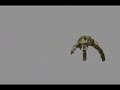 my first animation