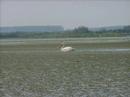 Roumanie-le-delta-du