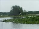 Roumanie-le-delta-du